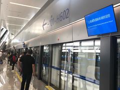 -上海浦东国际机场-T2航站楼