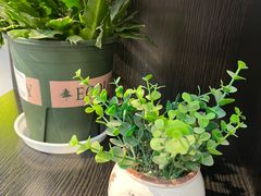 -盒马鲜生(大成店)