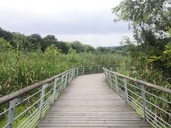 -西湖风景区-江洋畈生态公园