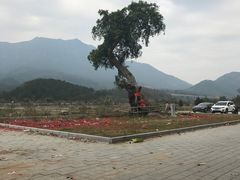 -广州市石门国家森林公园