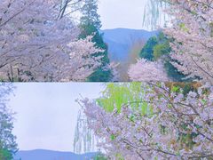 -国家植物园