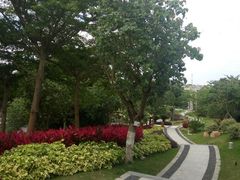 -厦门国家会计学院