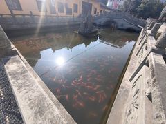 -会龙寺