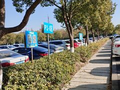 -野生动物园-停车场