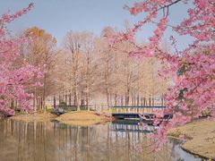 -上海辰山植物园