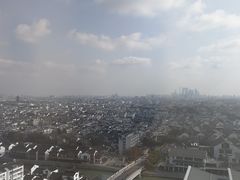 -苏州茉莉花酒店