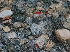 -虹口漂流