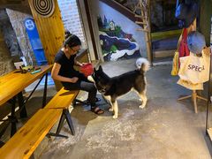 -石头会唱歌融来+北港岚台两岸交流中心