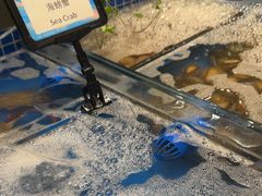-韵咖啡自助餐厅(天津香格里拉店)