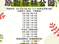 -西双版纳原始森林公园