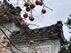 -篁岭景区