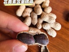 -东海森林温泉度假酒店