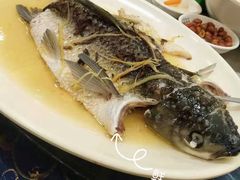 -祈胜邨•顺德鱼生•顺德菜(容桂店)
