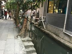 -小洲村