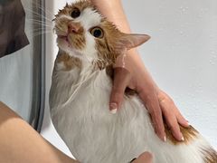 -FAELING PETS美天灵宠物(合生汇店)
