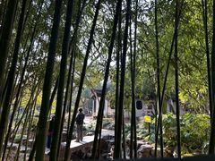 -秋霞圃