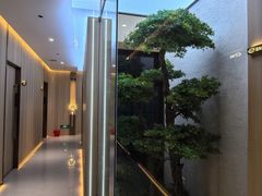 -百年石锅饭(阿里郎美食街店)