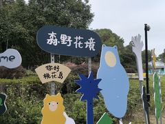 -金鸡湖桃花岛