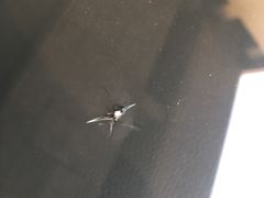 -鲨鱼皮汽车凹陷玻璃修复(静安店)