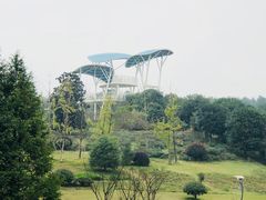 -铁山坪森林公园