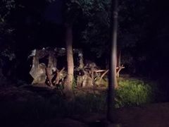 -清迈夜间动物园