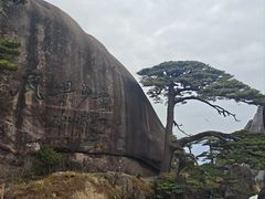 -文华小渔村(椒江康平路店)