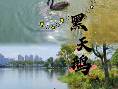 -武汉动物园