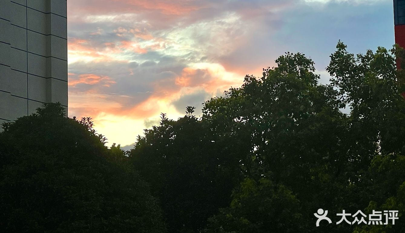 夏天的菠菜面绝了～