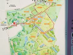 -光明小镇欢乐田园