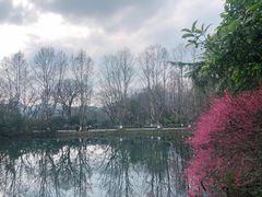 -九曜山