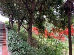 -重庆平顶山公园