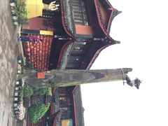 -峨眉山报国寺