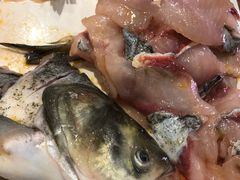 -融泽漁悦三只耳鱼火锅(南郑大道店)