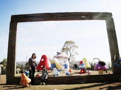 -上海都市菜园