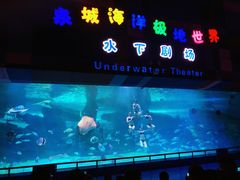 -泉城欧乐堡海洋极地世界