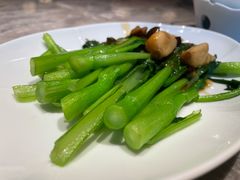 蚝油菜心-四道菜·福建菜馆(新街口金鹰店)