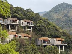 -宁海安岚·南溪阁全日餐厅