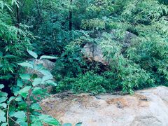 -碓臼峪自然风景区