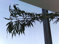 -颜蕾医美·黄金微针·水光·玻尿酸·超声炮·抗衰中心