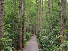 -同里国家湿地公园