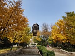 -玲珑塔公园