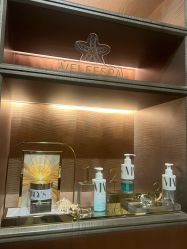 -VELEE·SPA高定疗愈会所