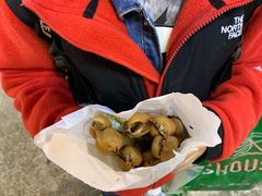 -妈咪鸡蛋仔(尖沙咀东分店)