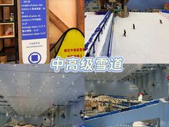 -广州热雪奇迹
