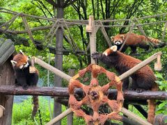 -宁波野生动物园