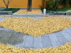 -龙华寺