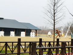 -黄海国家森林公园