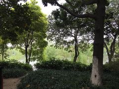 -沙市市中山公园