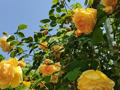 -玄武湖景区-情侣园游乐场