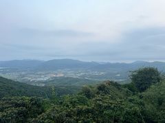 -三亚亚龙湾人间天堂鸟巢度假村